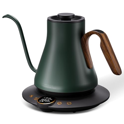 Gooseneck Electric Kettle