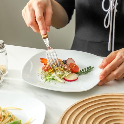Ceramic White Dinner Plates Set of 4 (4 Count)
