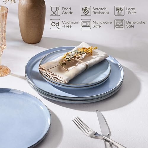 4 Piece Stoneware Dinner Plates Set