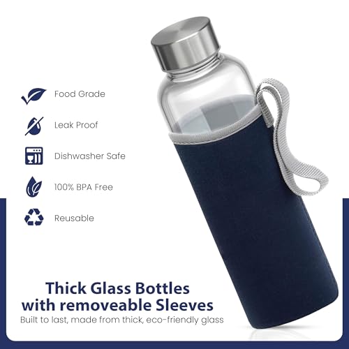 Clear Glass Bottles with Lids (6 Count)