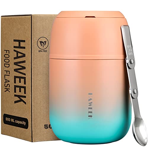 17oz Insulated Food Jar with Spoon