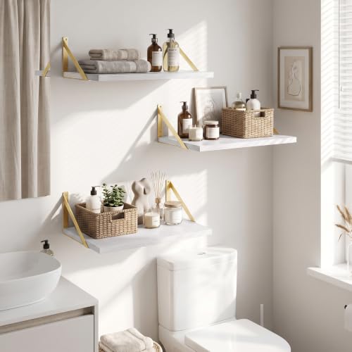 Wall Mounted Floating Shelves Set of 3