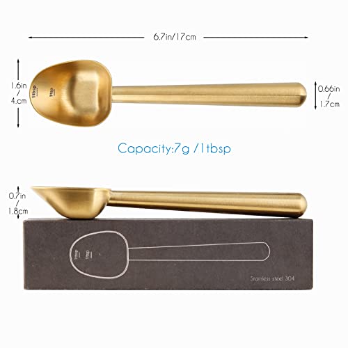Stainless Steel Long Hollow Handle Coffee Scoop