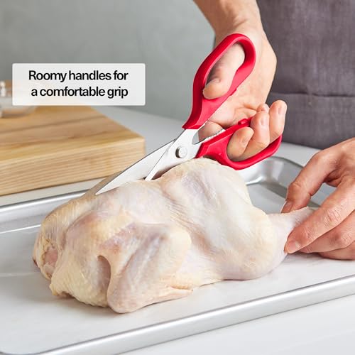 Heavy Duty Kitchen Shears