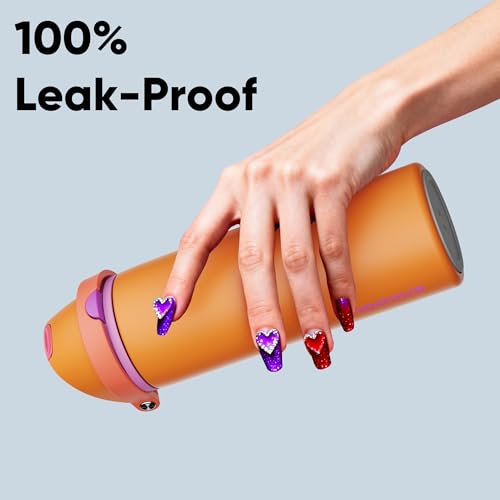 Insulated Water Bottle with Straw