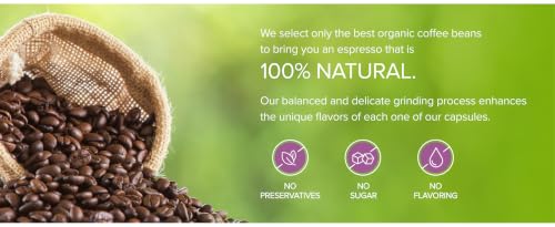 Organic USDA Café Romano Coffee Aluminum Espresso Pods For Nespresso Original Machine 100 Pack Italian Espresso Coffee (100 Count)