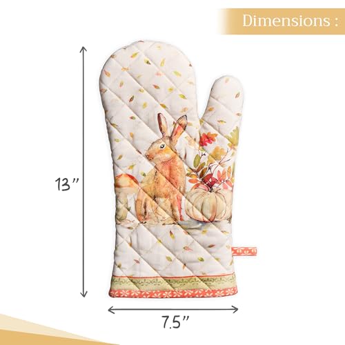 Maison d'Hermine Oven Gloves 100% Cotton Oven Mitt