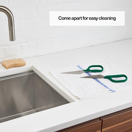 Heavy Duty Kitchen Shears
