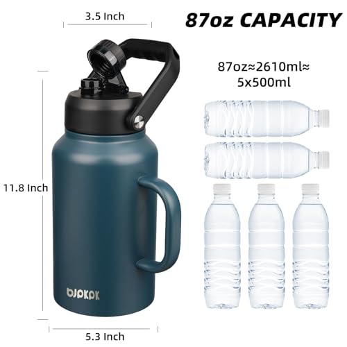 87oz Stainless Steel Water Bottle