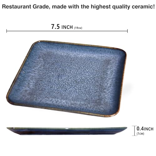 Porcelain Dinner Plates set dessert salad dish Set of 4 (4 Count)