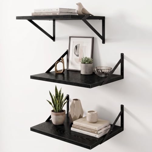 Wall Mounted Floating Shelves Set of 3 (3 Count)
