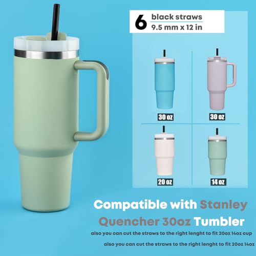 Black Replacement Straws for Stanley 30 oz Tumbler (6 Count)