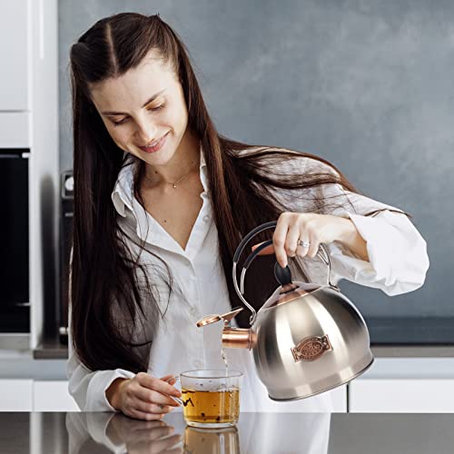 Whistling Tea Kettle Stainless Steel Teapot