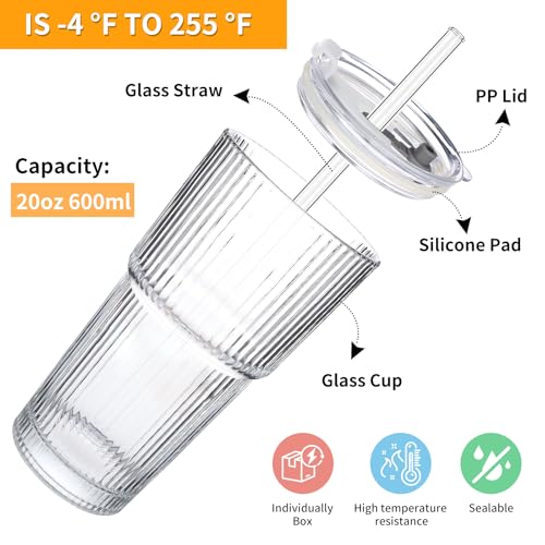20oz Iced Coffee Cups with Lids and Straws (4 Count)