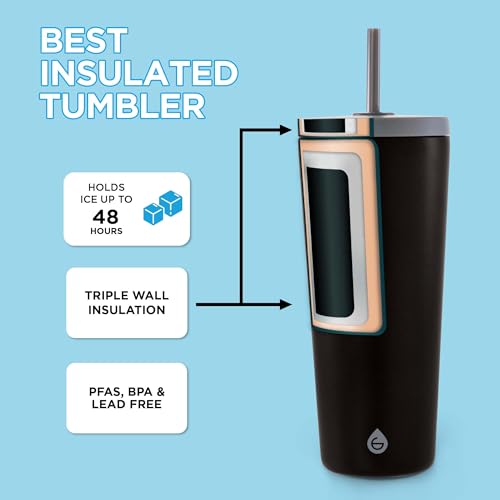 Jasper Insulated Stainless Steel Tumbler with Straw