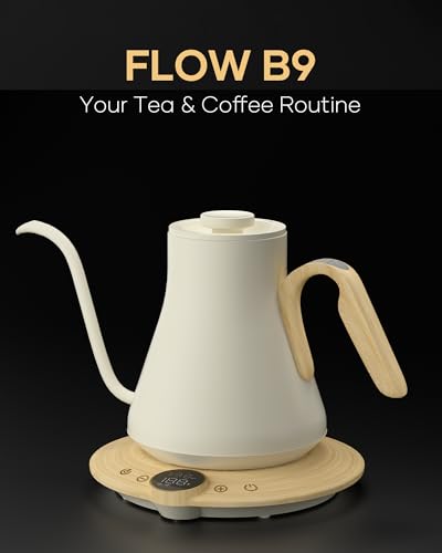Gooseneck Electric Kettle