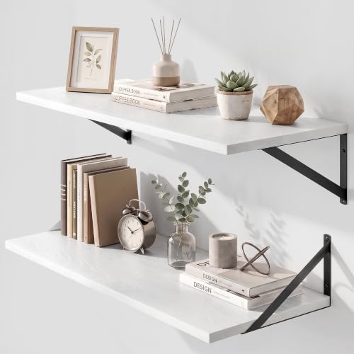 Wall Mounted Floating Shelves Set of 2 (2 Count)
