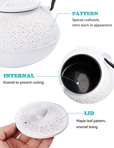 Cast Iron Tea Pot with Infusers for Loose Tea