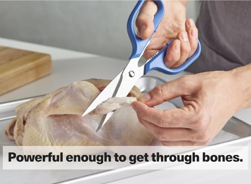 Heavy Duty Kitchen Shears