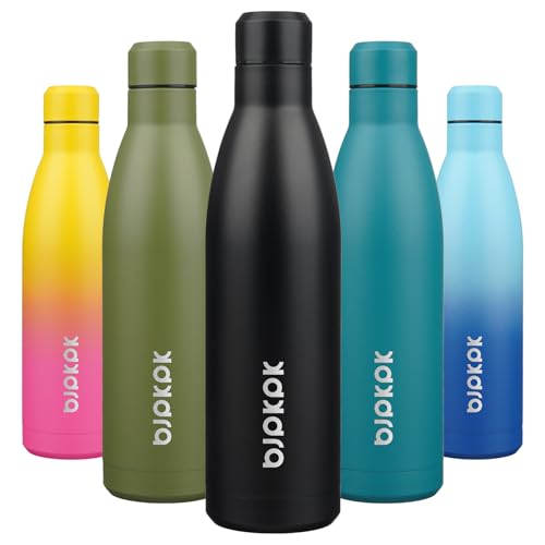 25 oz Insulated Stainless Steel Water Bottle