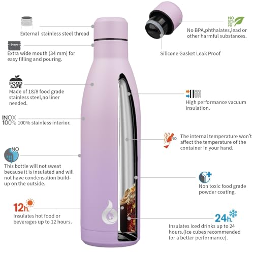 25 oz Insulated Stainless Steel Water Bottle