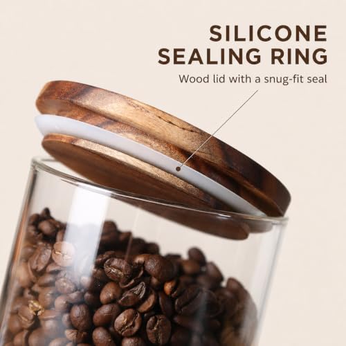 2 Glass Coffee Canister Set with Bamboo Rack & Scoops (5 Count)