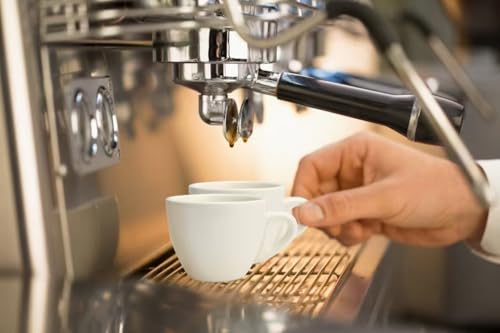 2.5 oz 75 ml Pure White Ceramic Espresso Cups (2 Count)
