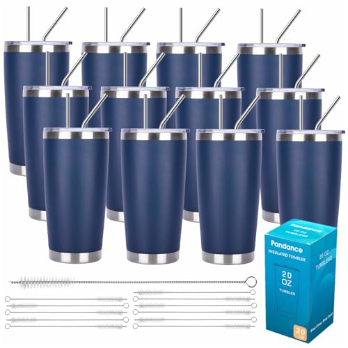 20oz Stainless Steel Insulated Tumblers Bulk (12 Count)