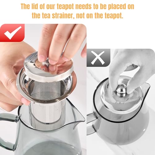 Clear Teapot Glass Kettle with Infuser