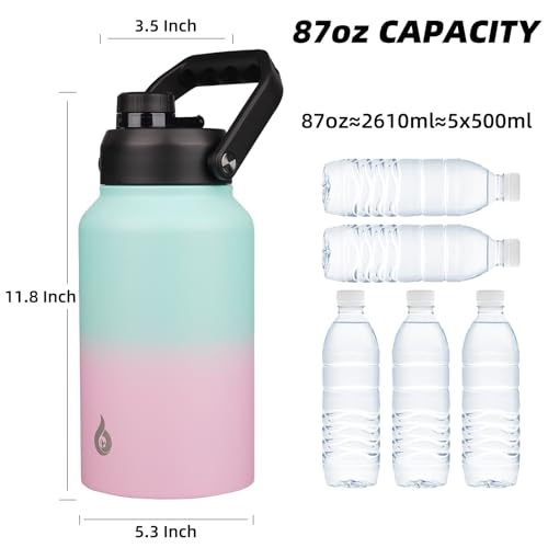 87oz Insulated Water Bottle