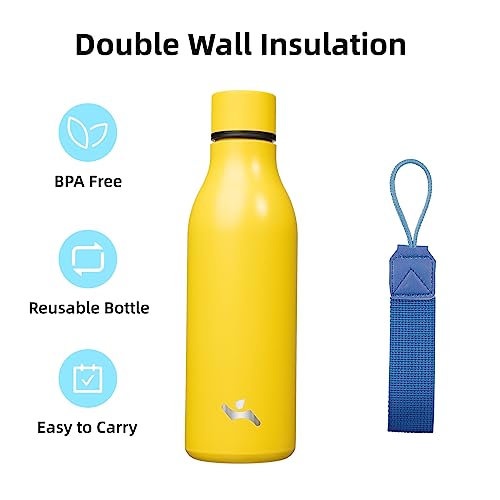 18 oz Insulated Stainless Steel Metal Water Bottle with Strap