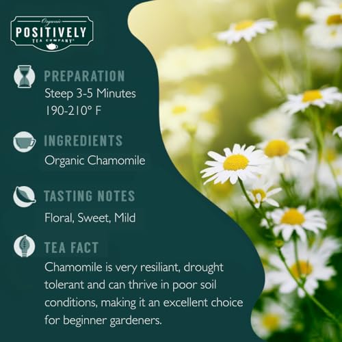 Chamomile Herbal Tea Bags (100 Count)