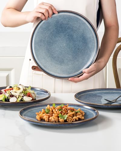11 Inch Ceramic Dinner Plates Set of 4 (4 Count)