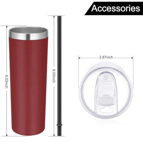 20 oz Stainless Steel Skinny Tumbler with Lids and Straws (6 Count)