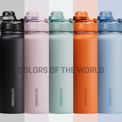 Vessence 24 Oz Stainless Steel Tea Infuser Bottle for Loose Leaf Tea
