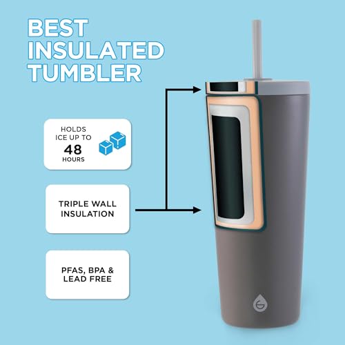 Jasper Insulated Stainless Steel Tumbler with Straw