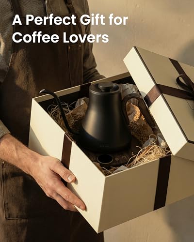 Gooseneck Electric Kettle
