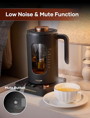 Electric Tea Kettle with Infuser