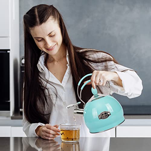Whistling Tea Kettle Stainless Steel Teapot