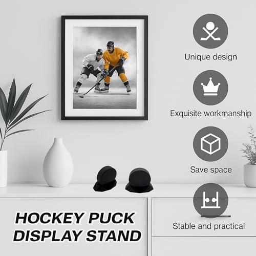 Hockey Puck Display Stand