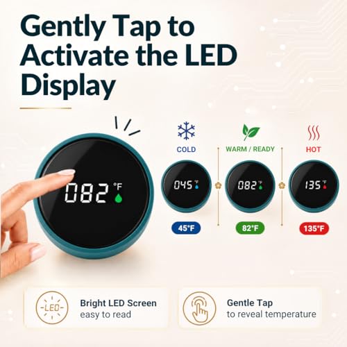 Tea Infuser for Loose Leaf Tea Smart Water Bottle with Temperature Display