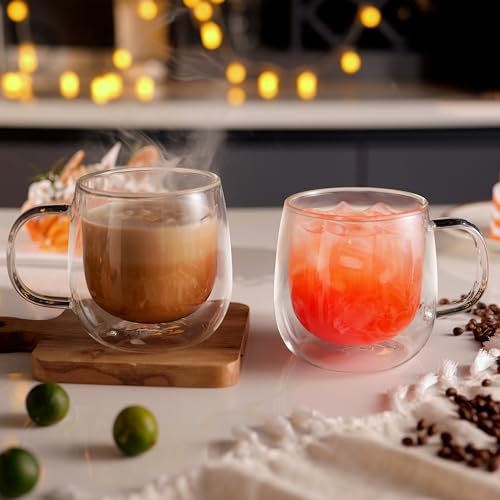 16oz Double Walled Glass Coffee Mugs (2 Count)