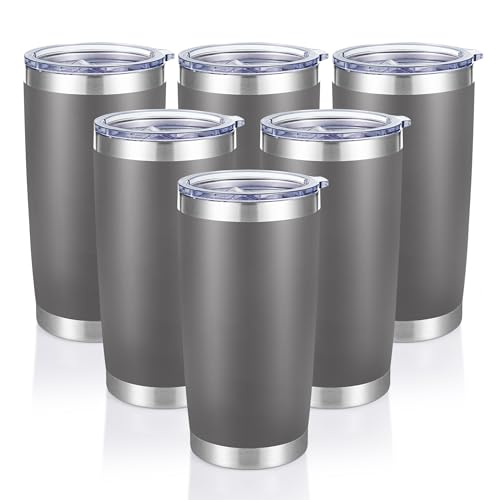 20 oz Tumblers Bulk Stainless Steel Tumbler with Lid (6 Count)