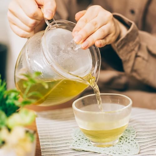 ChaCha "Natsume" Tea Pot