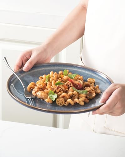 11 Inch Ceramic Dinner Plates Set of 4 (4 Count)