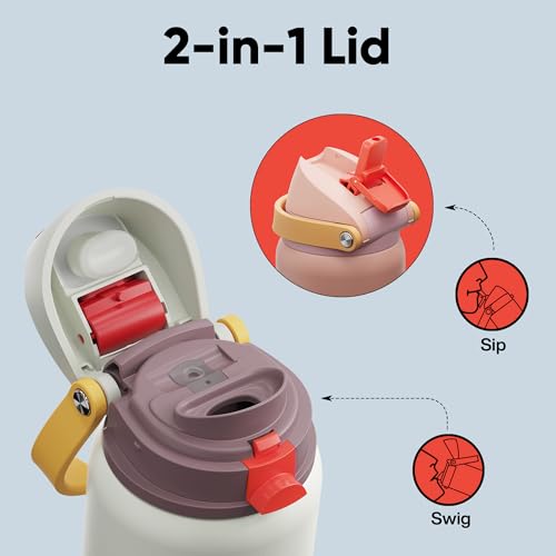 Insulated Water Bottle with Straw
