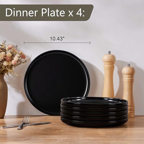 6 Piece Stoneware Dinner Plates Set