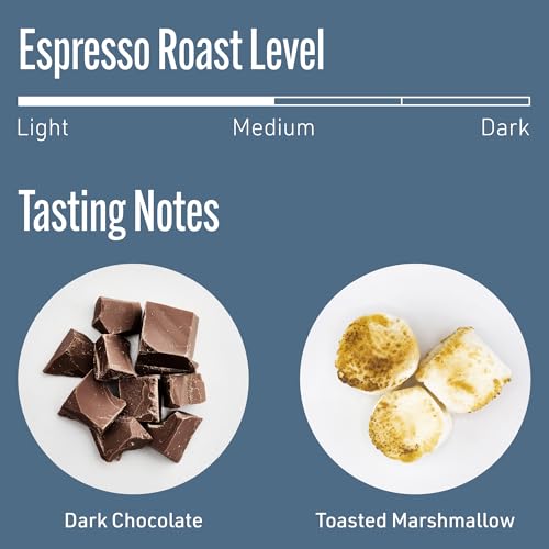 Whole Bean Coffee (12 Ounce)