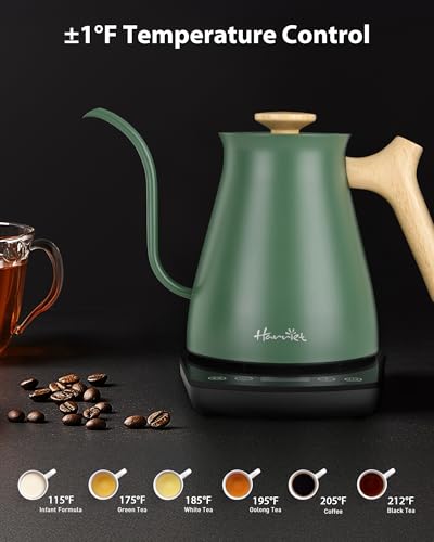Gooseneck Electric Kettle