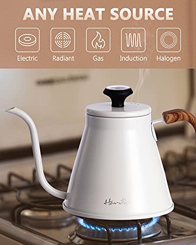 Gooseneck Kettle with Thermometer for Pour Over Coffee and Tea